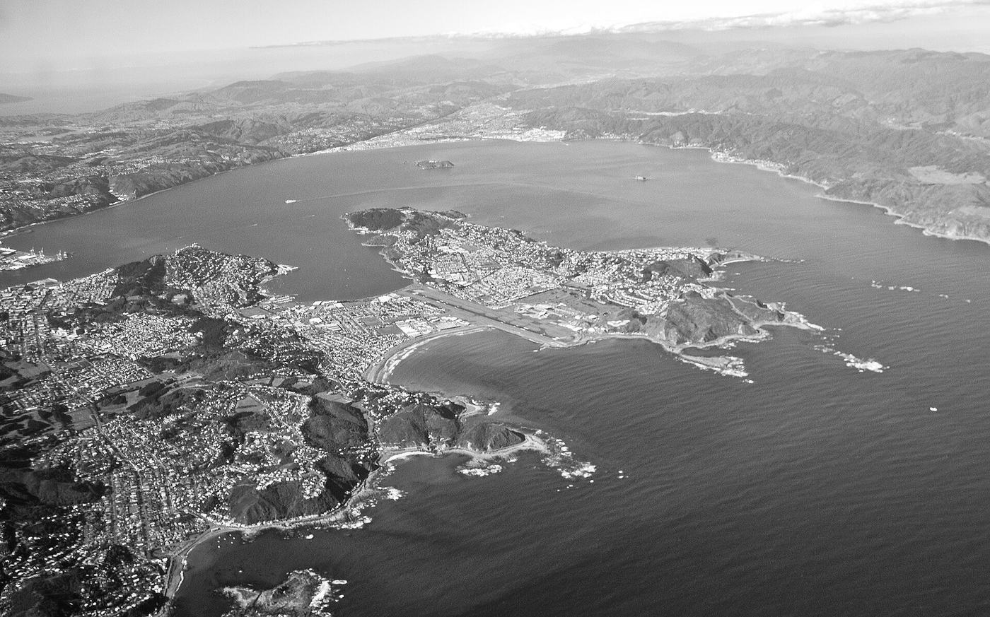 Wellington and its harbour from the air
